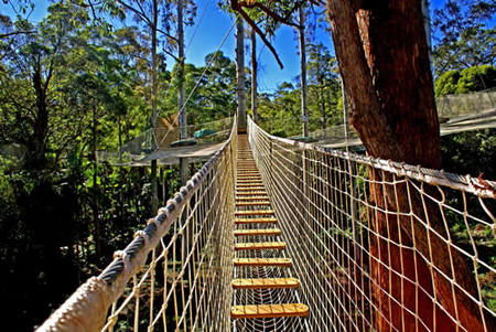 North Tamborine QLD E Caravan Parks
