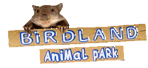 Book Charlotte Bay NSW Attractions E Caravan Parks E Caravan Parks