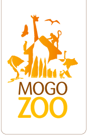 Mogo Zoo - E Caravan Parks