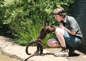 National Zoo & Aquarium - E Caravan Parks 1