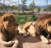 Mansfield Zoo - E Caravan Parks