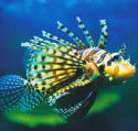 Underwater World - E Caravan Parks