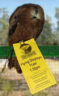 Eagles Heritage - E Caravan Parks 1