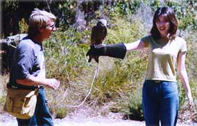 Eagles Heritage - E Caravan Parks 2