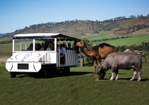 Zoo Doo Wildlife Park - E Caravan Parks 2