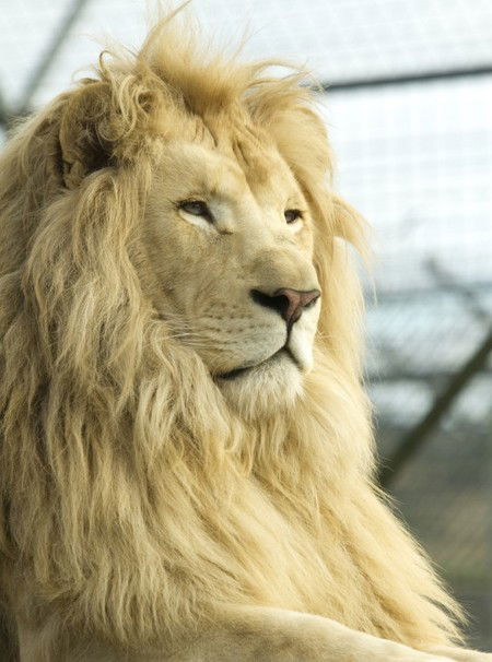 Zoo Doo Wildlife Park - E Caravan Parks 3