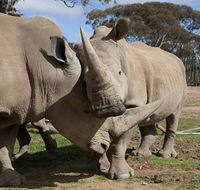 Monarto Zoo - E Caravan Parks