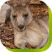 Abbotsbury NSW E Caravan Parks