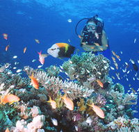 Drop Zone Dive Site - E Caravan Parks