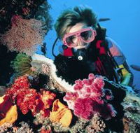 Gold Coast Seaway Dive Site - E Caravan Parks