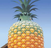 The Big Pineapple - E Caravan Parks