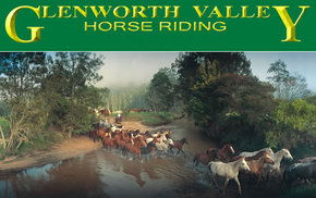 Peats Ridge NSW E Caravan Parks
