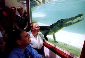 Alice Springs Reptile Centre - E Caravan Parks 1