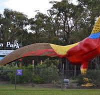 Gumbuya Park