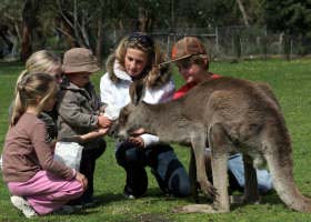Gumbuya Park - E Caravan Parks 1
