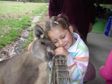 Gumbuya Park - E Caravan Parks 3