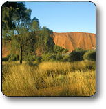Atitjere NT E Caravan Parks