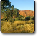 Uluru - Kata Tjuta National Park - E Caravan Parks