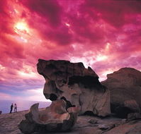 Kangaroo Island Adventure Tour 2 day/1 night - E Caravan Parks
