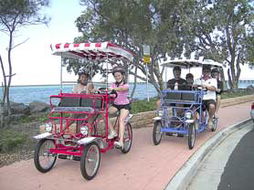 Book Hervey Bay QLD Attractions E Caravan Parks E Caravan Parks