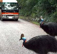 Kookaburra Tours - E Caravan Parks