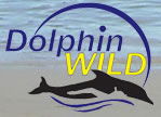 Moreton Island QLD E Caravan Parks