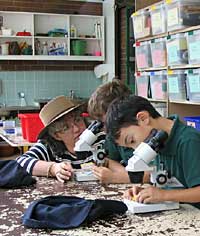 Australian National Botanic Gardens - E Caravan Parks 2