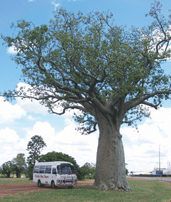 Kununurra Cruises - E Caravan Parks 1
