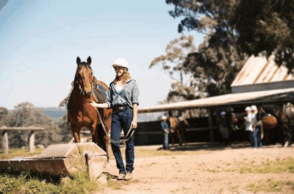 Watsons Trail Rides - E Caravan Parks 0