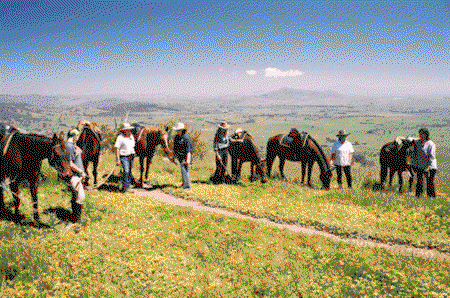 Watsons Trail Rides - E Caravan Parks 1