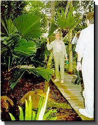 Daintree Rainforest River Trains - E Caravan Parks 1