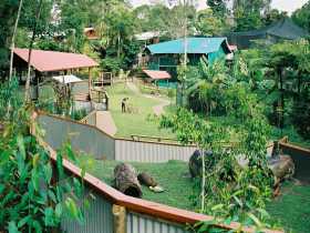 Kuranda Koala Gardens - E Caravan Parks 1