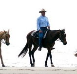 Ride the Beach - E Caravan Parks