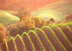 Meridian Tours - E Caravan Parks 2