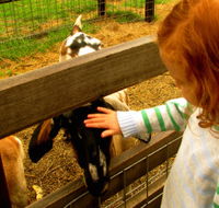 Collingwood Children's Farm - E Caravan Parks