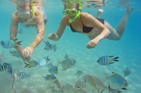Australian Kayaking Adventures - E Caravan Parks 2