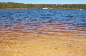 Beach Trekkers North Stradbroke Island - E Caravan Parks 1