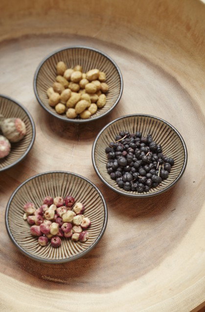 The Spa Beechworth - E Caravan Parks 4