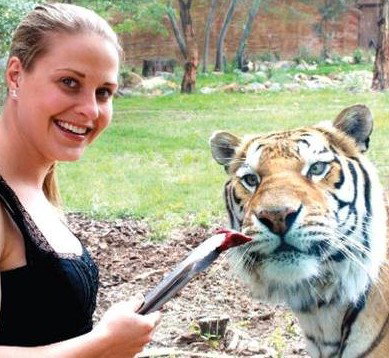 National Zoo & Aquarium - E Caravan Parks 4