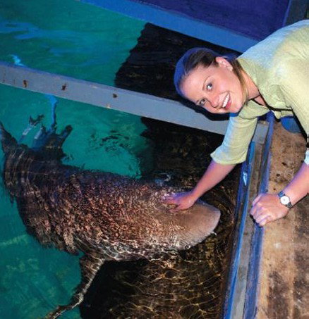 National Zoo & Aquarium - E Caravan Parks 7