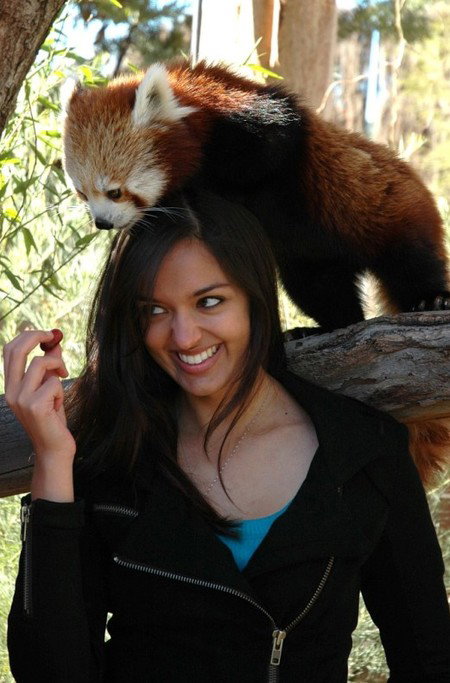 National Zoo & Aquarium - E Caravan Parks 8