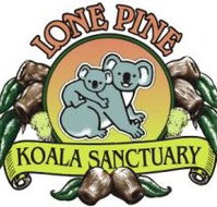 Lone Pine Koala Sanctuary - E Caravan Parks