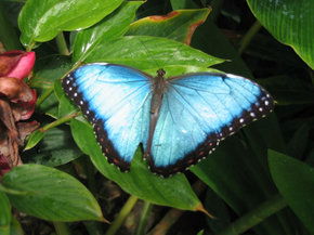 Butterfly Farm - E Caravan Parks 5