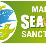 Manly SEA LIFE Sanctuary - E Caravan Parks