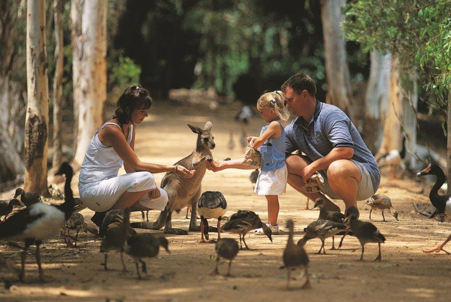 Townsville QLD E Caravan Parks