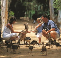 Billabong Sanctuary - E Caravan Parks