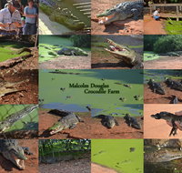 The Malcolm Douglas Crocodile Park - E Caravan Parks