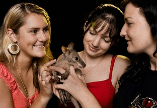 Cairns Night Zoo - E Caravan Parks 1