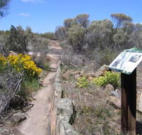 Christmas Rock Walk - E Caravan Parks