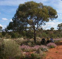 Karlkurla Bushland Park - E Caravan Parks